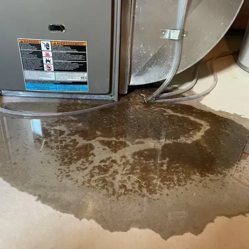 Appliance Leak Cleanup in Door County, WI